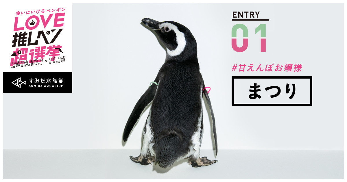 すみぺん（値下げ、まとめ依頼プロフ必読）様 すみぺん（値下げ、まとめ依頼プロフ必読）様 すみぺん（値下げ