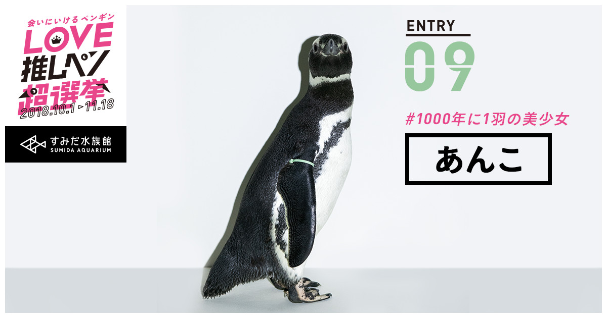 水族館で買ったペンギン 96b5f4e3c345a7d9549c01bc84bf9b