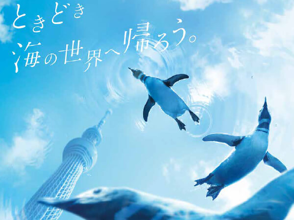 すみだ水族館　5月22日開館