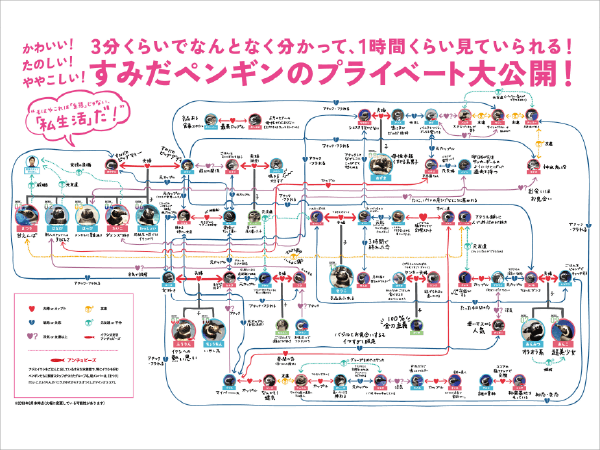 「すみだペンギン相関図」スタート