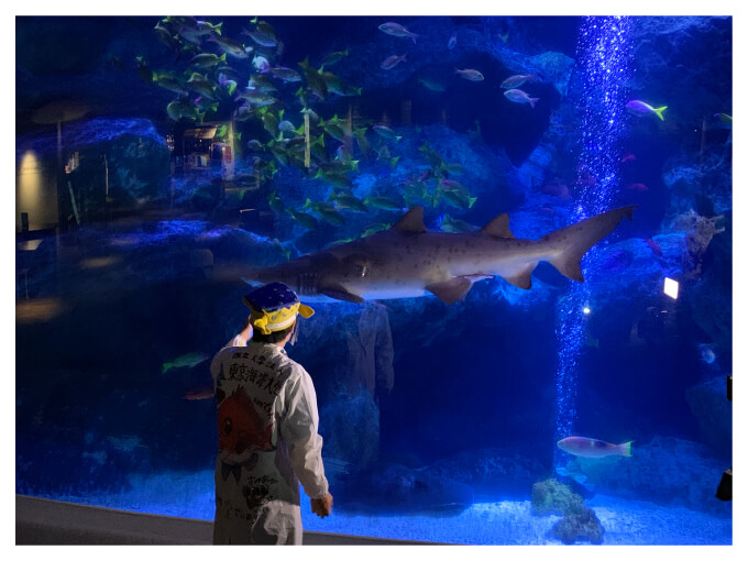 さかなクン思い出画像|すみだ水族館