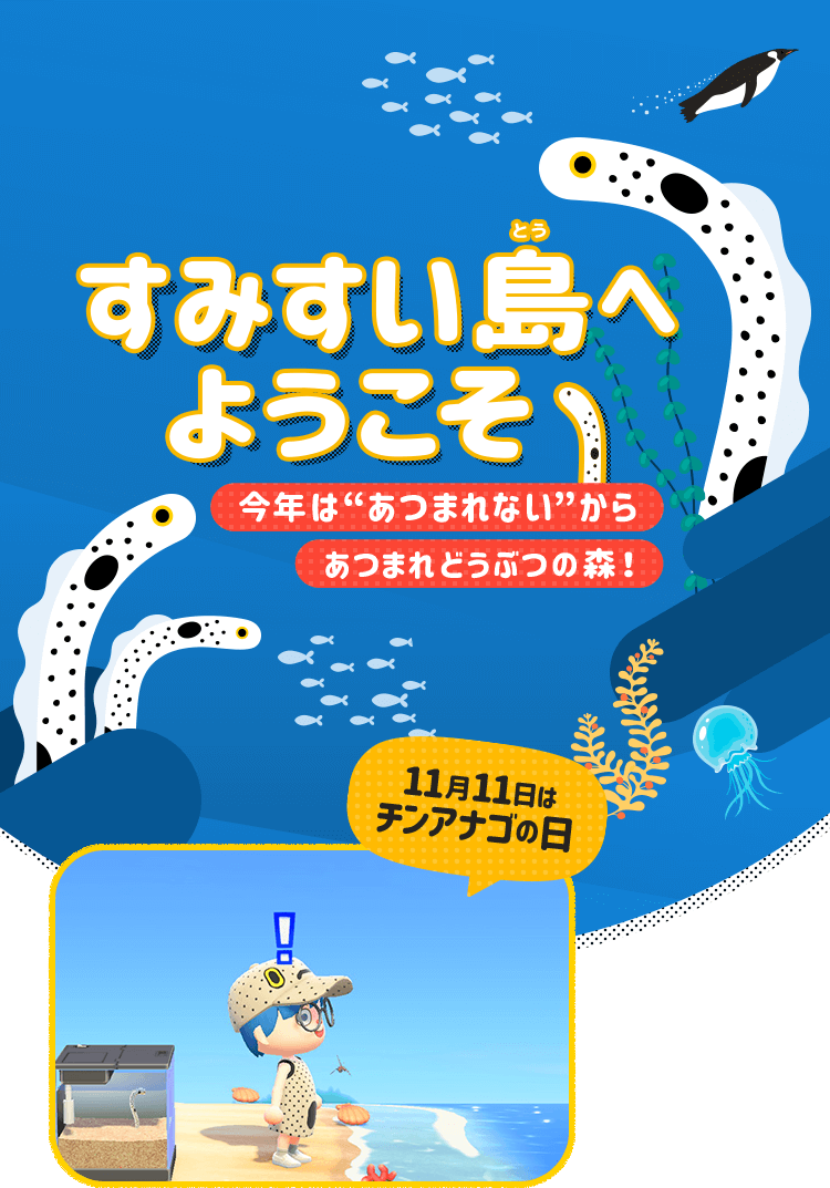 すみすい島へようこそ 11月11日はチンアナゴの日