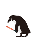 11月11日はチンアナゴの日！