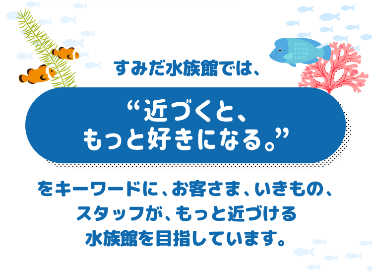 すみだ水族館では、“近づくと、もっと好きになる。”をキーワードに、お客さま、いきもの、スタッフが、もっと近づける水族館を目指しています。