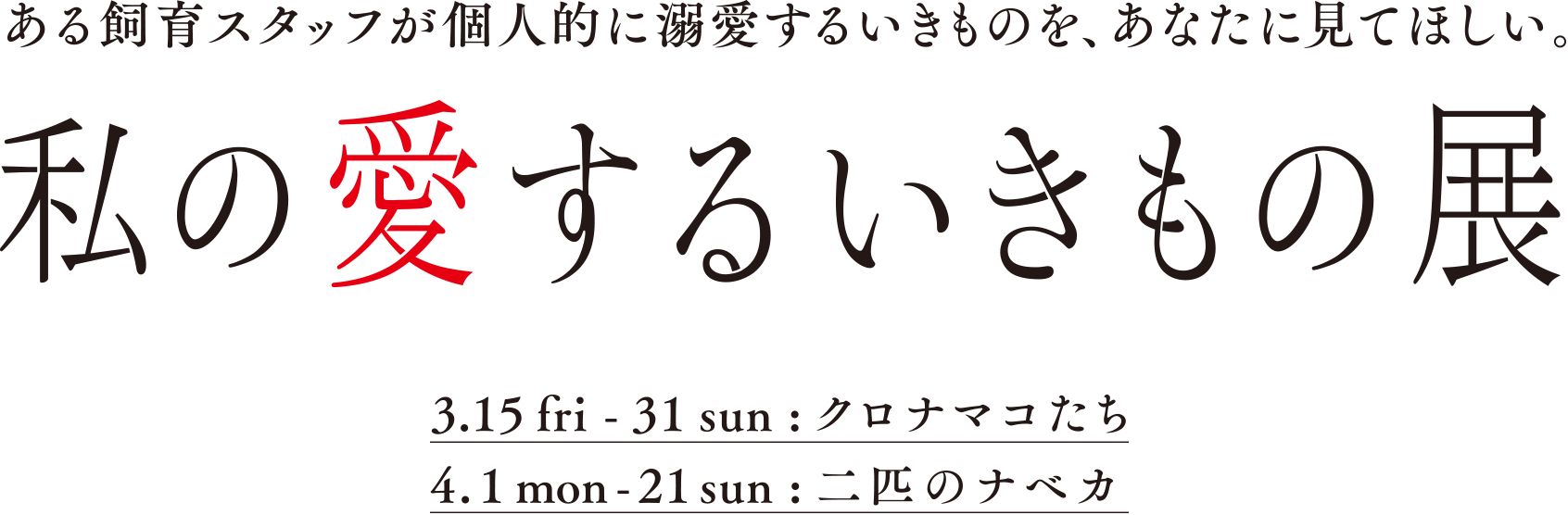 私の愛するいきもの展 3.15 - 31：クロナマコたち　4.1 - 21：二匹のナベカ