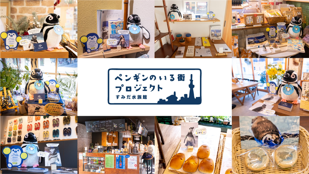 ペンギンのいる街プロジェクト
