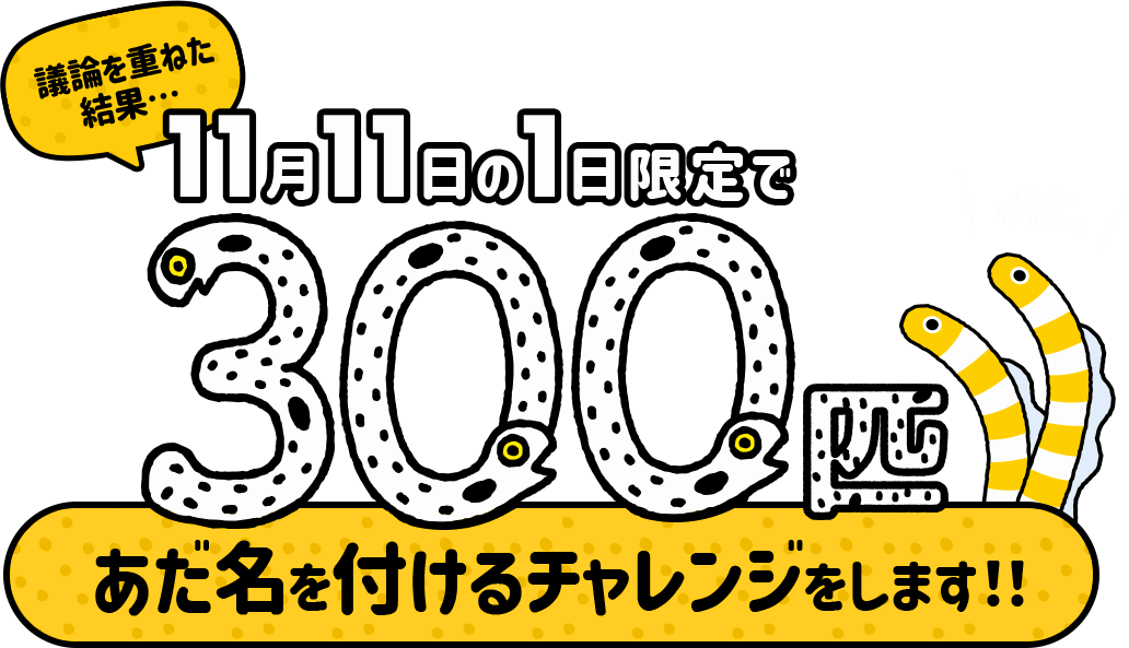 議論を重ねた結果… 11月11日の1日限定で300匹のチンアナゴにあだ名をつけるチャレンジをします