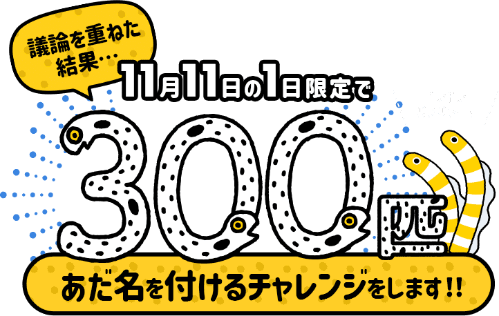 議論を重ねた結果… 11月11日の1日限定で300匹のチンアナゴにあだ名をつけるチャレンジをします