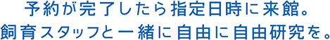 予約が完了したら指定日時に来館。飼育スタッフと一緒に自由に自由研究を。