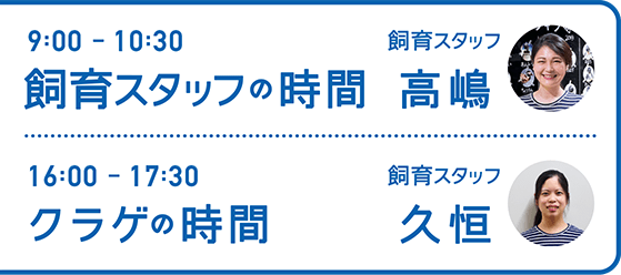 9:00-10:30 飼育スタッフの時間 飼育スタッフ 高嶋・16:00-17:30 クラゲの時間 飼育スタッフ 久恒