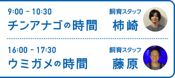 9:00-10:30 チンアナゴの時間 飼育スタッフ 柿崎・16:00-17:30 ウミガメの時間 飼育スタッフ 藤原