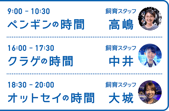 9:00-10:30 ペンギンの時間 飼育スタッフ 高嶋・16:00-17:30 クラゲの時間 飼育スタッフ 中井・18:30-20:00 オットセイの時間 飼育スタッフ 大城