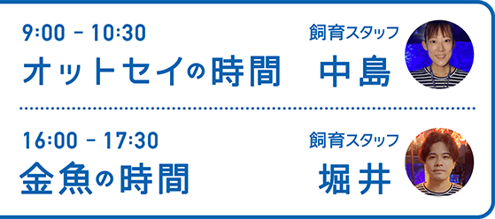 9:00-10:30 オットセイの時間 飼育スタッフ 中島・16:00-17:30 金魚の時間 飼育スタッフ 堀井