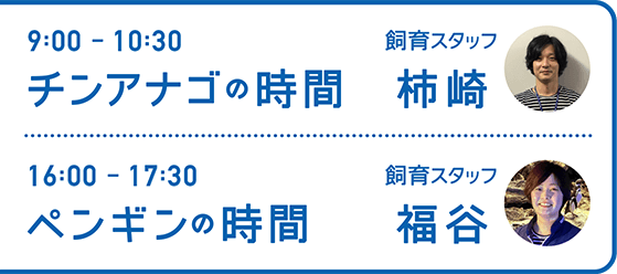 9:00-10:30 チンアナゴの時間 飼育スタッフ 柿崎・16:00-17:30 ペンギンの時間 飼育スタッフ 福谷