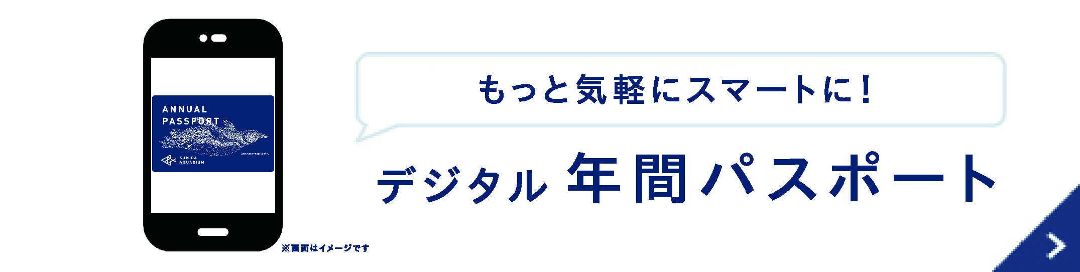 大変お得な年間パスポート