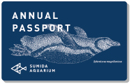 年間パスポート イメージ画像
