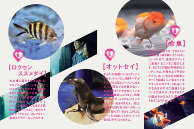 冬の水族館デートをサポート Love Support Project を開催 東京スカイツリータウン にある すみだ水族館 公式