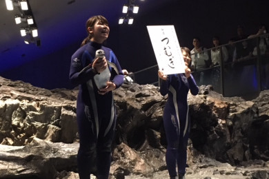 3月19日に生まれたペンギンの赤ちゃん 東京スカイツリータウン にある すみだ水族館 公式