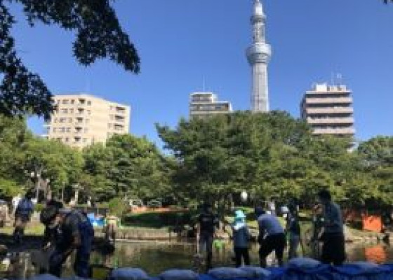 墨田区の「隅田公園ひょうたん池かいぼり大作戦」に参加しました！