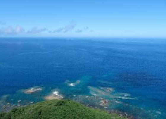 【全3回】小笠原村との連携取組みレポート2025