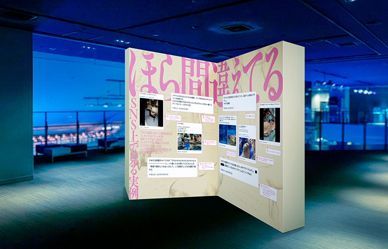 見どころ写真4