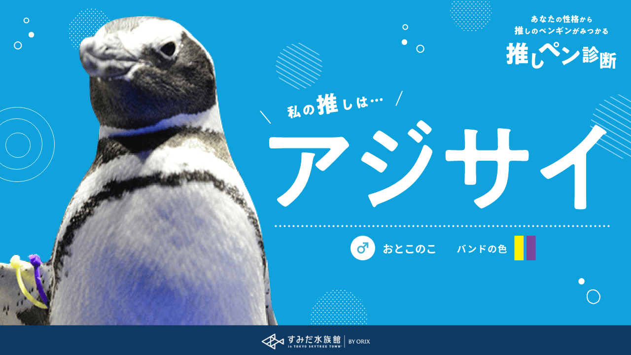 あなたの性格から推しのペンギンが見つかる推しペン診断 すみだ水族館