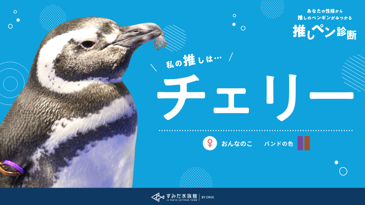 すみぺんページ あなたの性格から推しのペンギンが見つかる推しペン診断 すみだ水族館