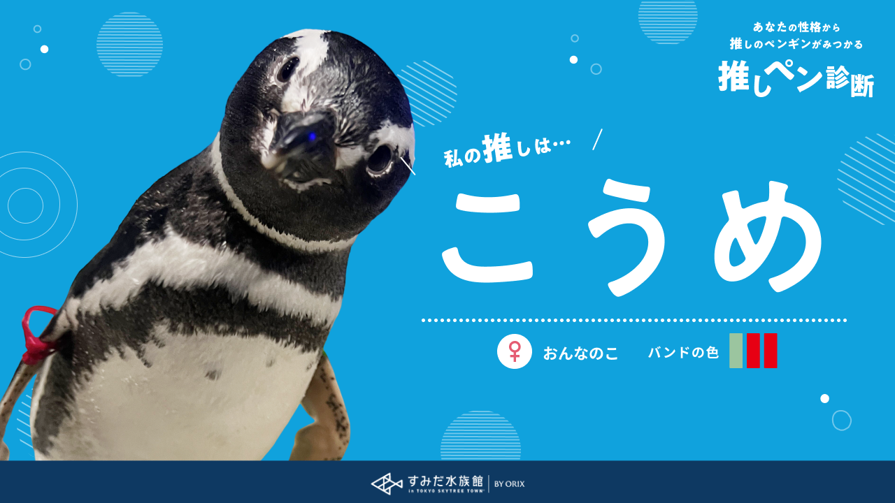 ペンギンピアス　ミオハルタカ　お好きな方に ペンギンピアス ミオハルタカ お好きな方に MIO HARUTAKA/Bijou