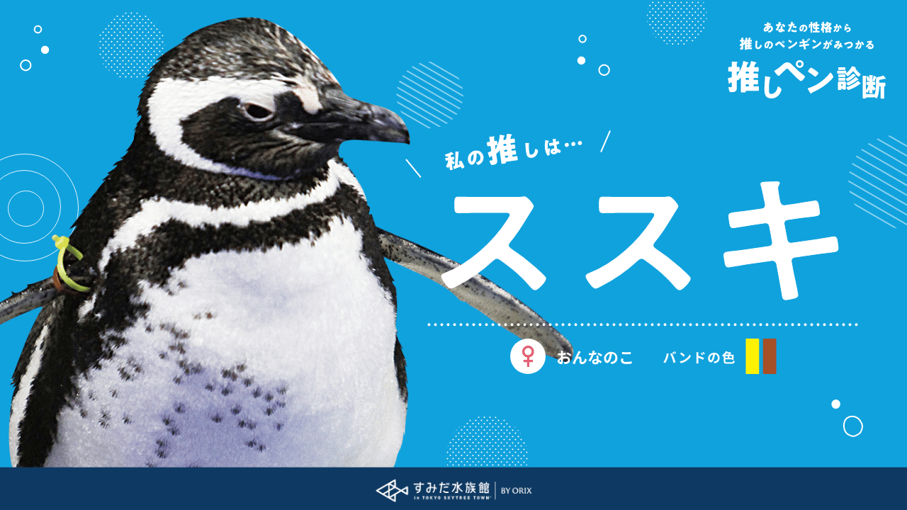 あなたの性格から推しのペンギンが見つかる推しペン診断 すみだ水族館