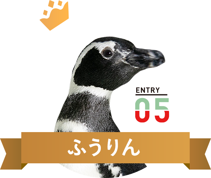 ふうりん