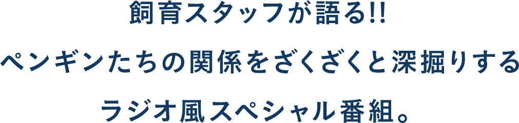 ペンギンたちの関係をざくざくと深掘りするラジオ風スペシャル番組。