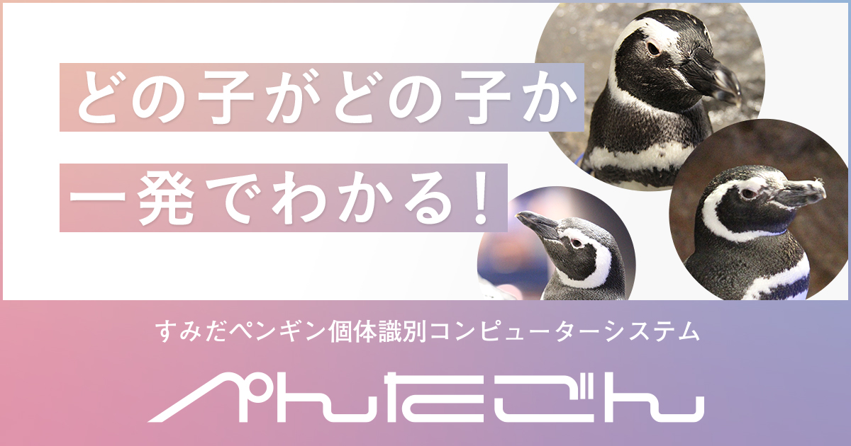 すみぺんページ すみだ水族館・京都水族館「ペンギン相関図2023」WEBサイト