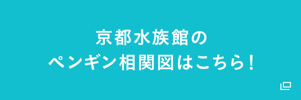 京都水族館のペンギン相関図はこちら