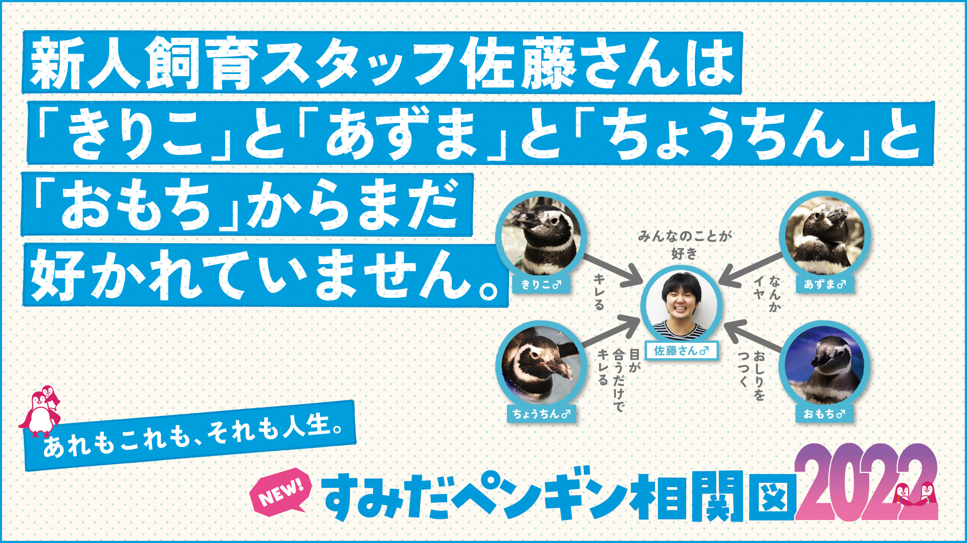 すみだペンギン相関図22 公開中 すみだ水族館