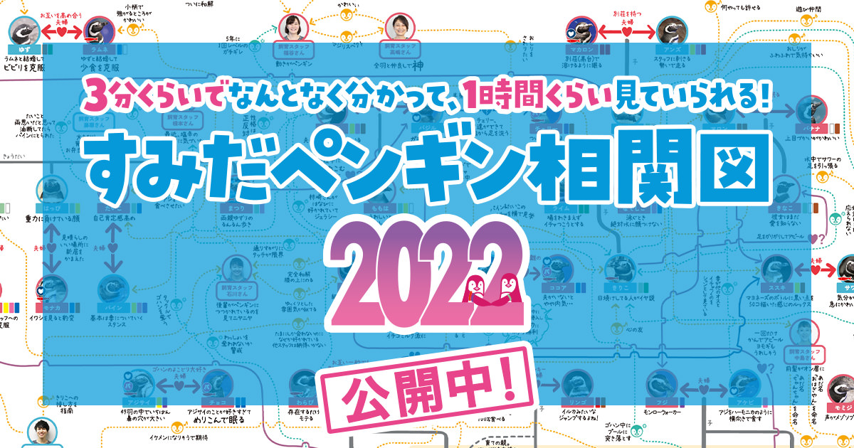 すみだペンギン相関図22 公開中 すみだ水族館