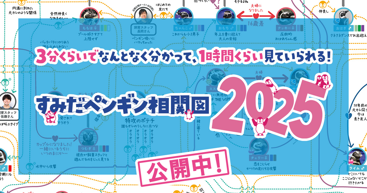 すみぺんページ すみだペンギン相関図2025」公開中！｜すみだ水族館