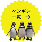 ペンギン一覧