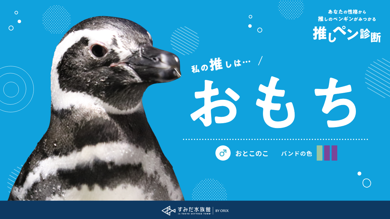 ぺんぎん ジェンツーペンギン 22 | HANSA