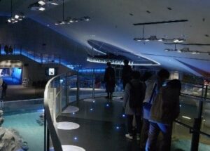 スロープでベビーカーの移動も安心