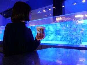 いきものたちを見ながらちょっと一杯