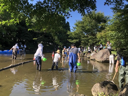 かいぼりの紹介_1